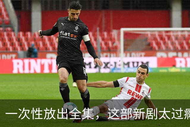 一次性放出全集，这部新剧太过瘾了