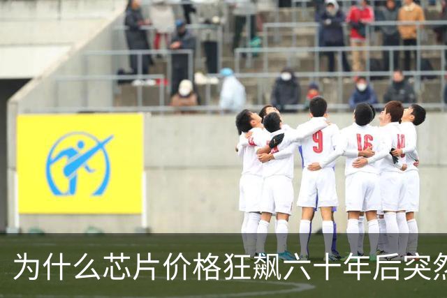 为什么芯片价格狂飙六十年后突然涨不动了