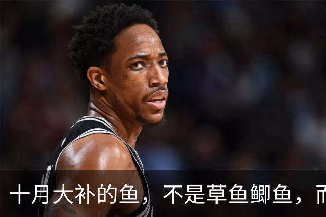 十月大补的鱼，不是草鱼鲫鱼，而是这4样，中老年多吃，安稳过冬