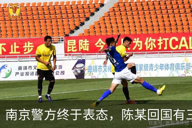 南京警方终于表态，陈某回国有三大后果等着，查清公费谜团是重点