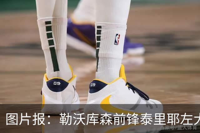 图片报：勒沃库森前锋泰里耶左大腿肌肉受伤，预计缺席至12月