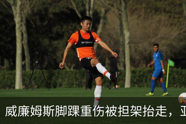 威廉姆斯脚踝重伤被担架抬走，亚历山大当场落泪