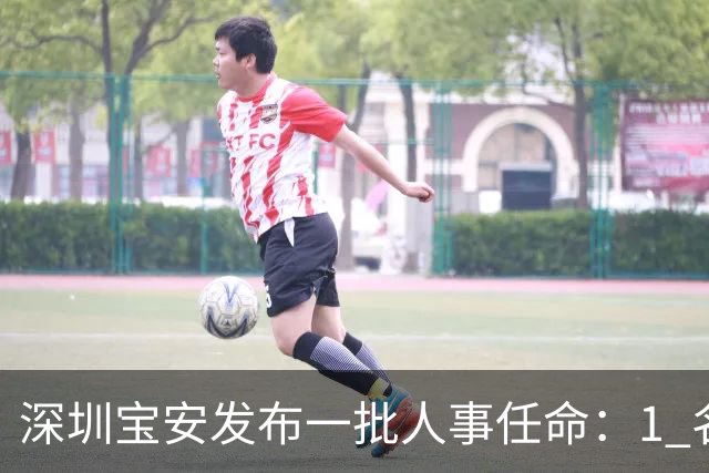 深圳宝安发布一批人事任命：1 名副区长、21 名局长