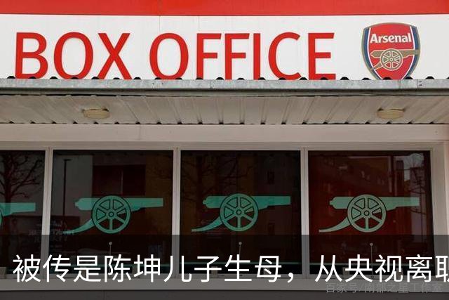 被传是陈坤儿子生母，从央视离职的她，如今咋样了