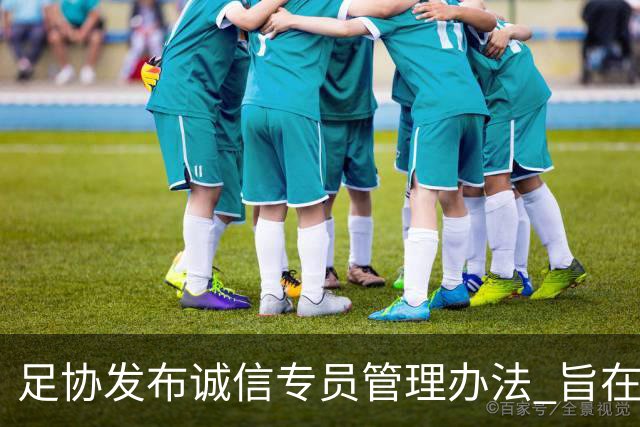 足协发布诚信专员管理办法 旨在预防打击领域腐败