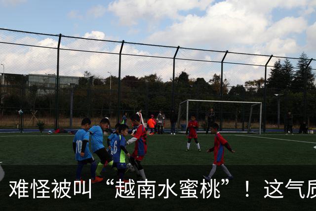 难怪被叫“越南水蜜桃”！这气质和身材，谁看了不迷糊？