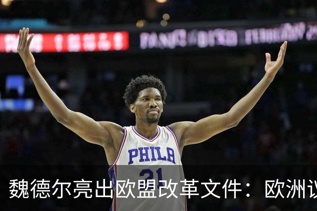 魏德尔亮出欧盟改革文件：欧洲议员不再直选，改由各国议会指派