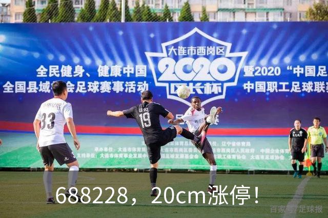 688228，20cm涨停！